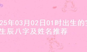 2025年03月02日01时出生的宝宝生辰八字及姓名推荐