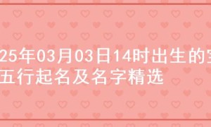 2025年03月03日14时出生的宝宝五行起名及名字精选