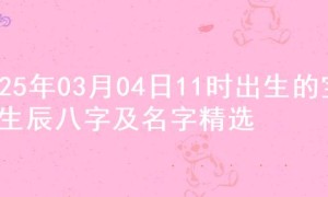 2025年03月04日11时出生的宝宝生辰八字及名字精选