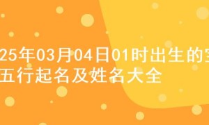 2025年03月04日01时出生的宝宝五行起名及姓名大全