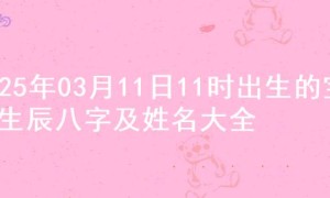 2025年03月11日11时出生的宝宝生辰八字及姓名大全