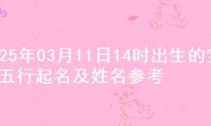 2025年03月11日14时出生的宝宝五行起名及姓名参考