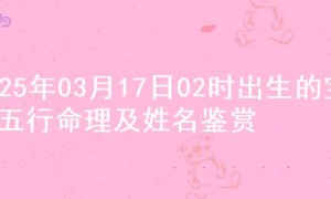 2025年03月17日02时出生的宝宝五行命理及姓名鉴赏