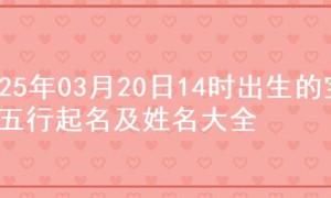 2025年03月20日14时出生的宝宝五行起名及姓名大全