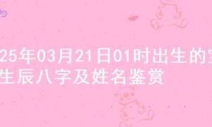 2025年03月21日01时出生的宝宝生辰八字及姓名鉴赏