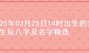 2025年03月25日14时出生的宝宝生辰八字及名字精选