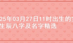 2025年03月27日11时出生的宝宝生辰八字及名字精选