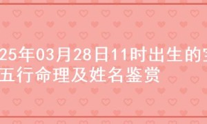 2025年03月28日11时出生的宝宝五行命理及姓名鉴赏