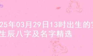 2025年03月29日13时出生的宝宝生辰八字及名字精选