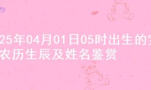 2025年04月01日05时出生的宝宝农历生辰及姓名鉴赏