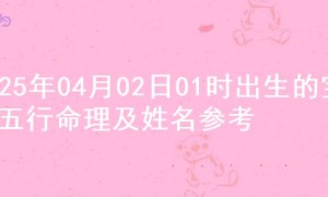 2025年04月02日01时出生的宝宝五行命理及姓名参考