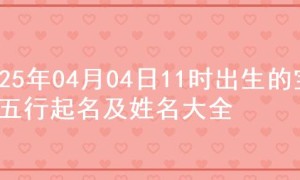 2025年04月04日11时出生的宝宝五行起名及姓名大全